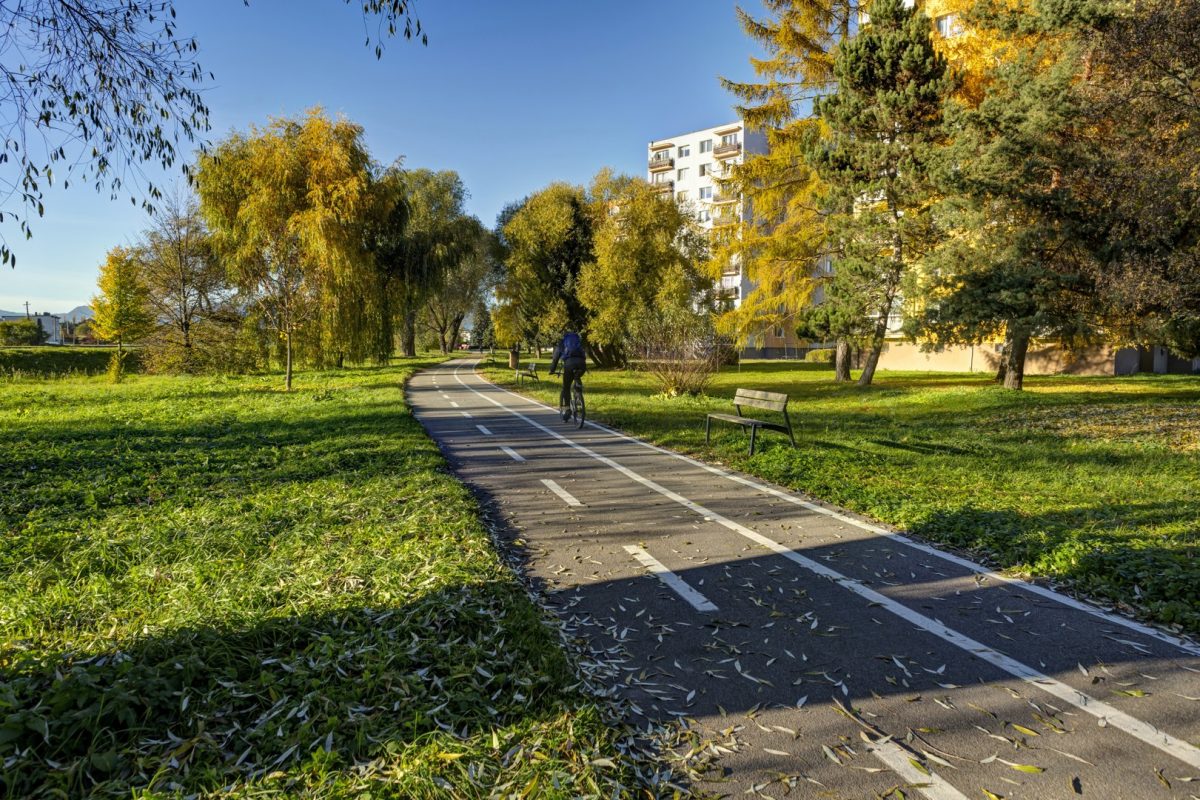 Ścieżka rowerowa wzdłuż rzeki Wag