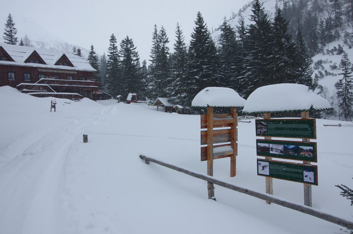 From the valley Žiarska dolina to the cottage Žiarska chata