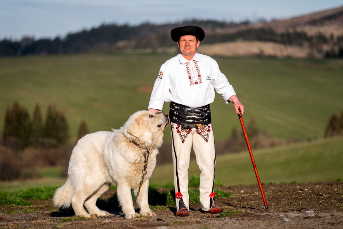 nepoznany liptov salas ovce tradicie baca