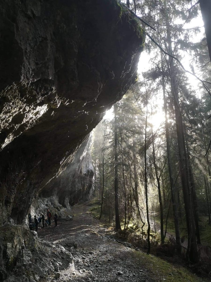 Dolina Demianowska , Ertoid – Trzech kolegów , D10-