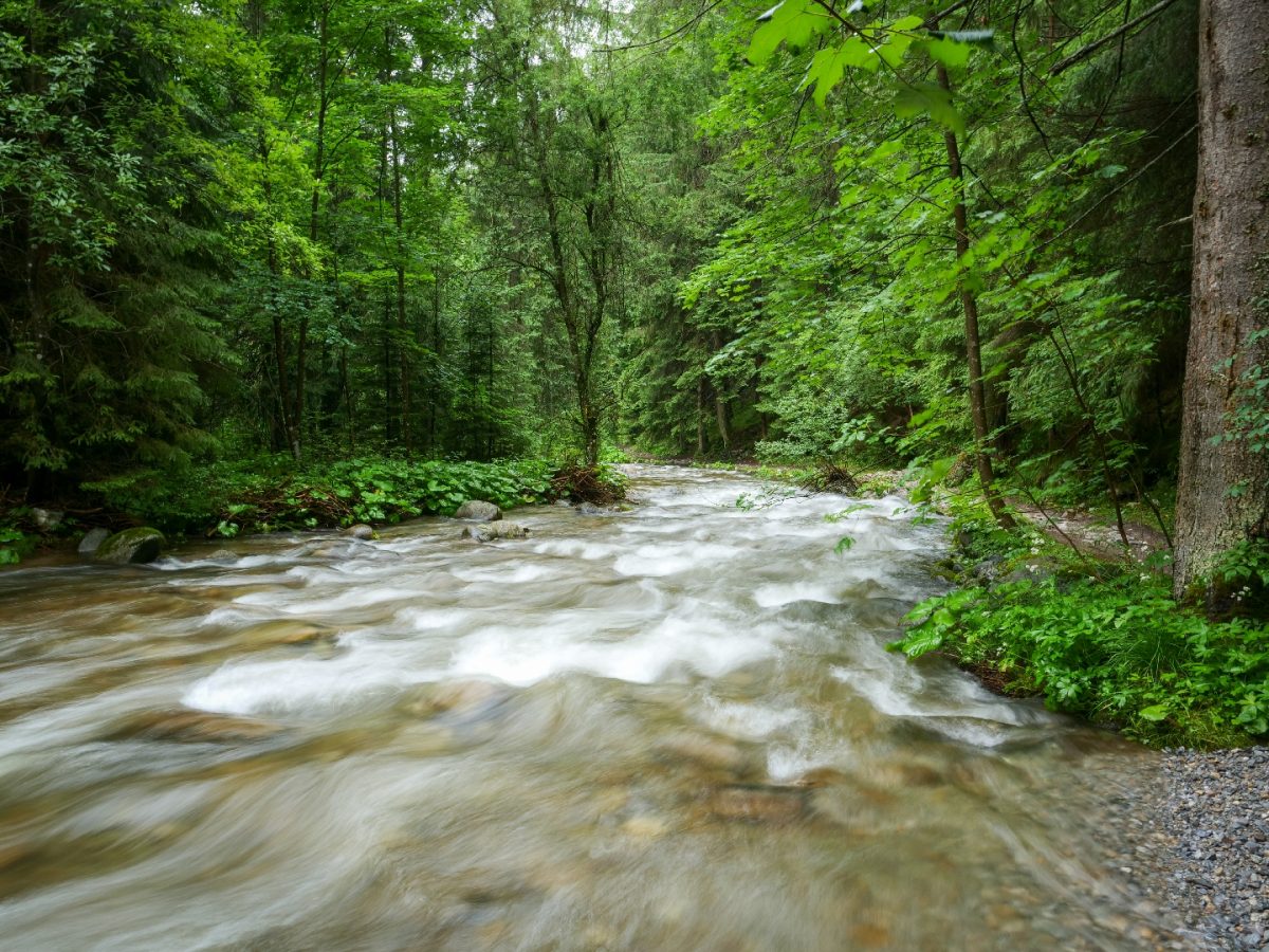 Nature Trail in Demänovská dolina