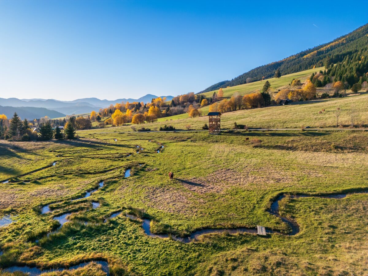 Lookout tower at the Lúžňanky Meanders