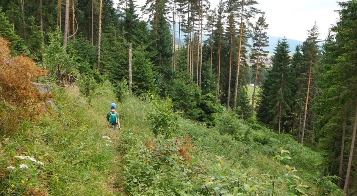 The Dolina Vyvieranie valley and the Demänovská hora mountain