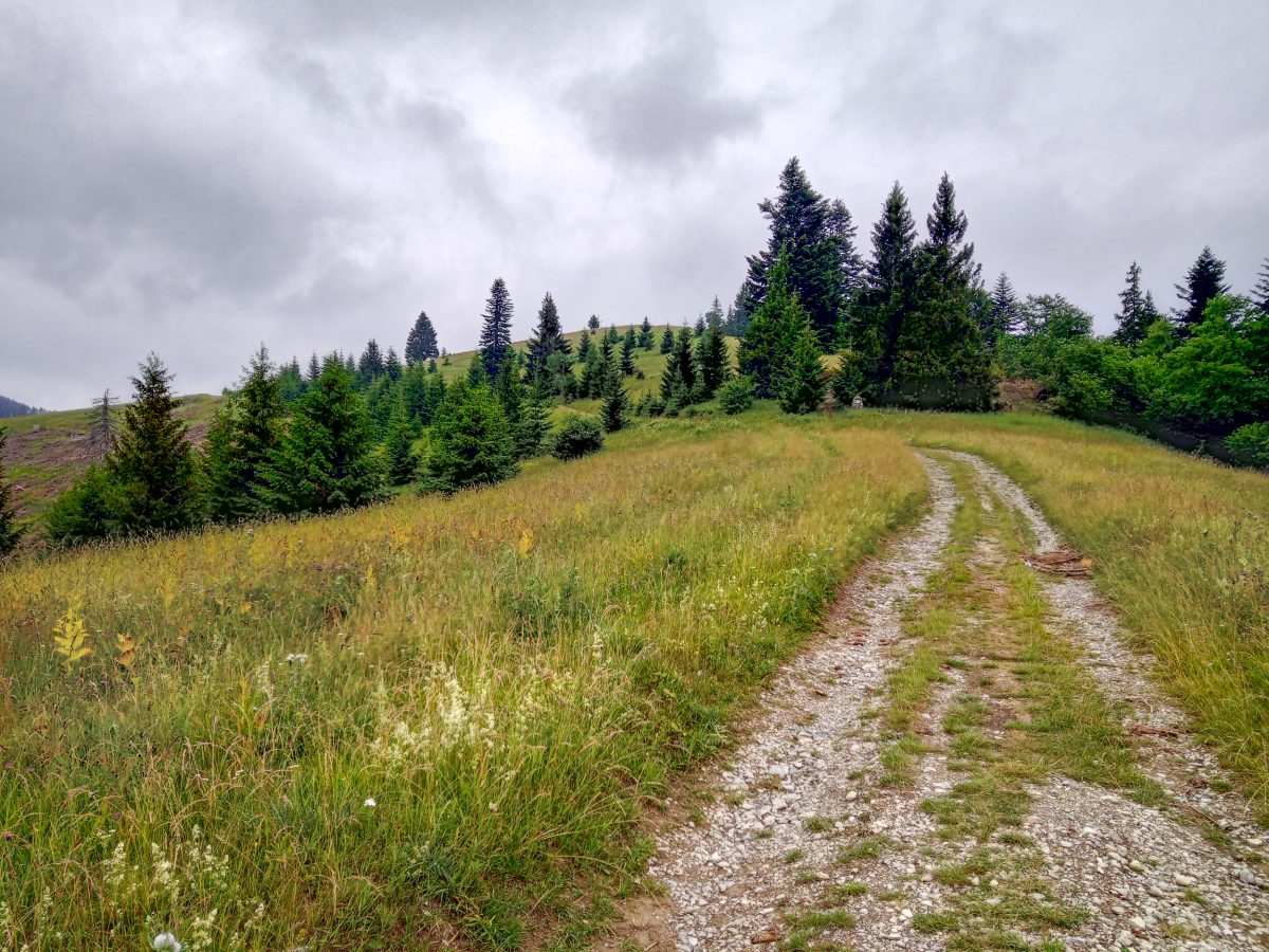 Przednia Magura z Partizánskej Lupče