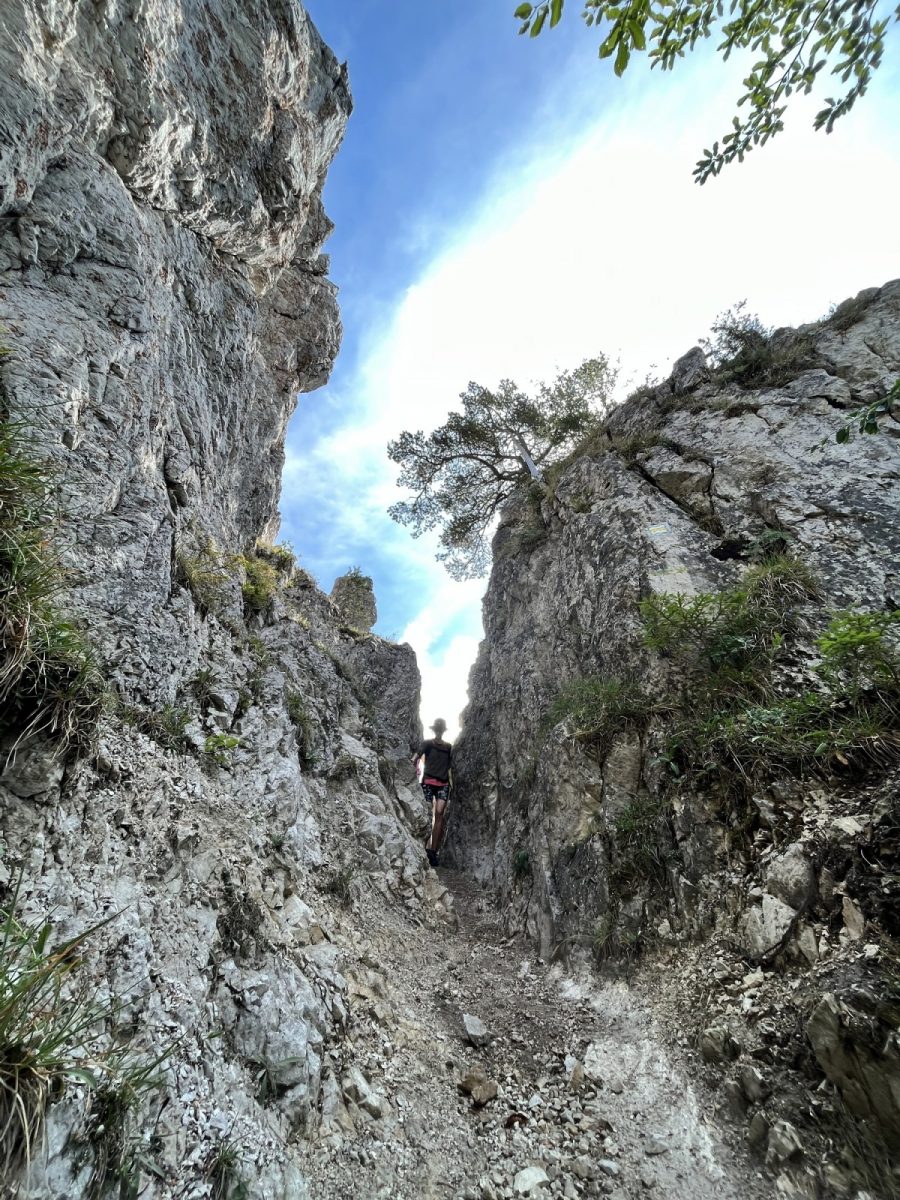 Šíp from Stankovany