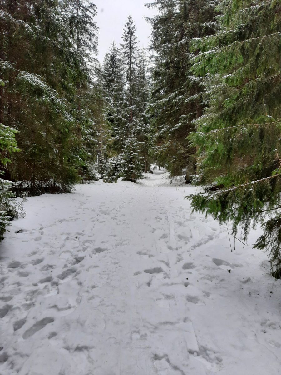 Through Tri Vody to Luková