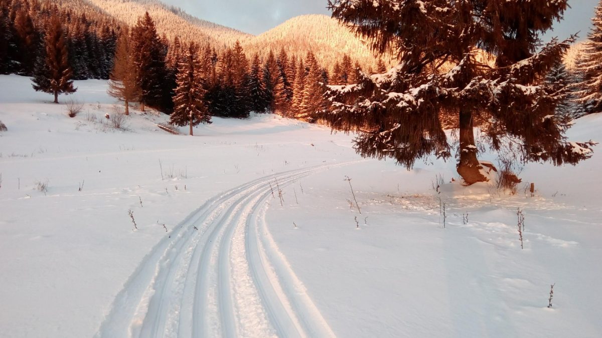 The track in the village Liptovská Lúžna