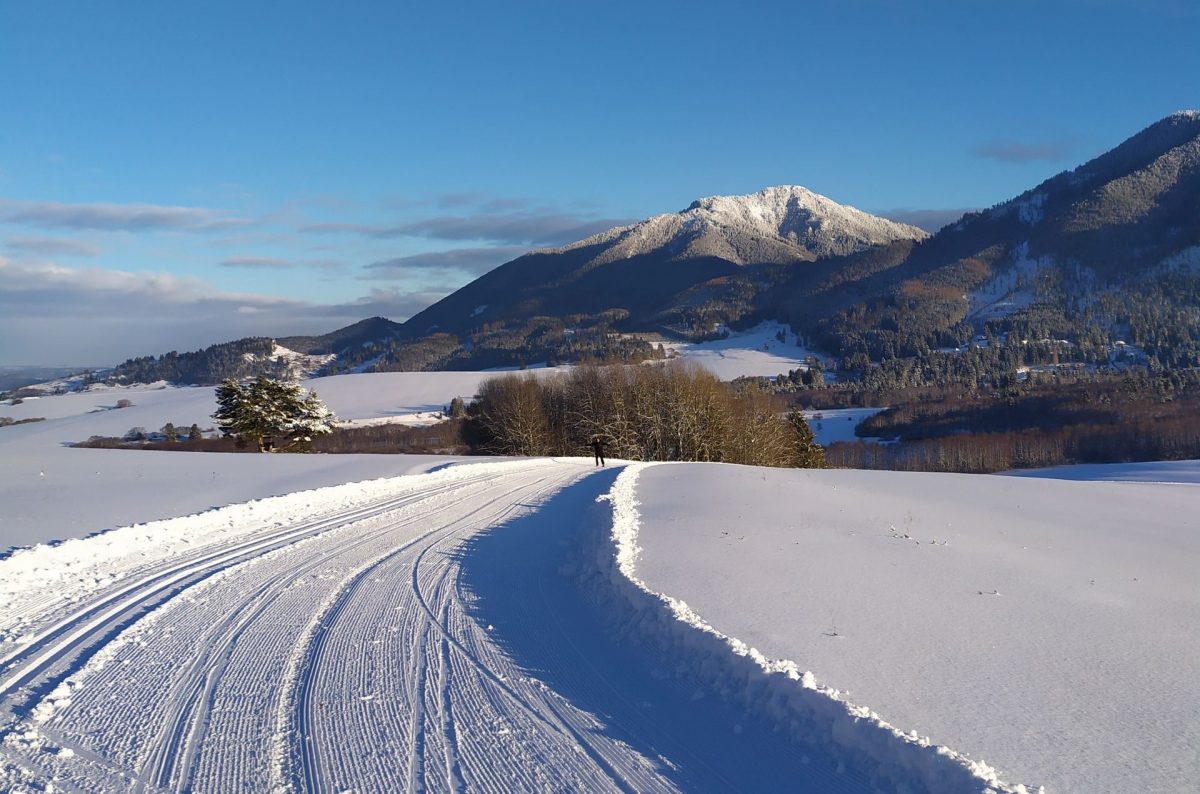 Trasa okrężna ponad Lazisko, Pavčina Lehota – Žiarce