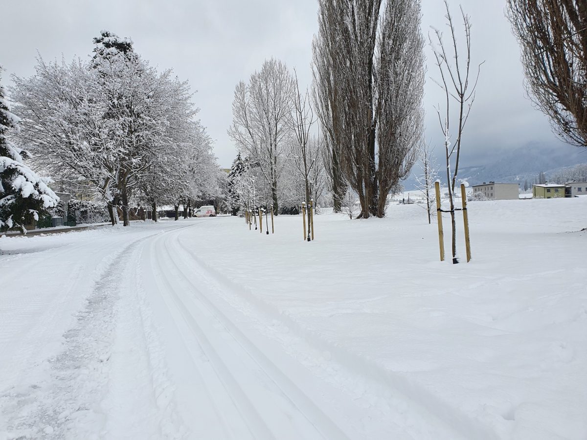 The cyclopath in the town Liptovský Mikuláš