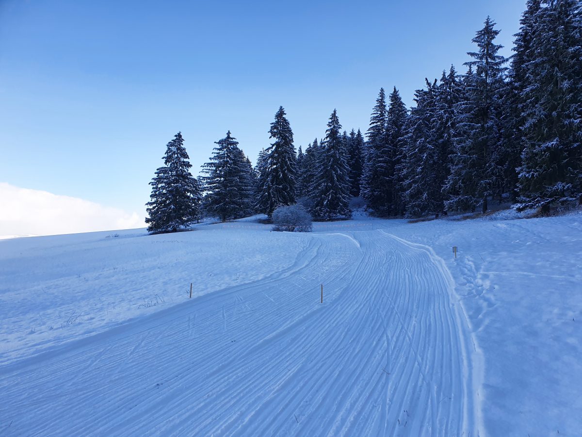 The circuit in the village Liptovská Štiavnica