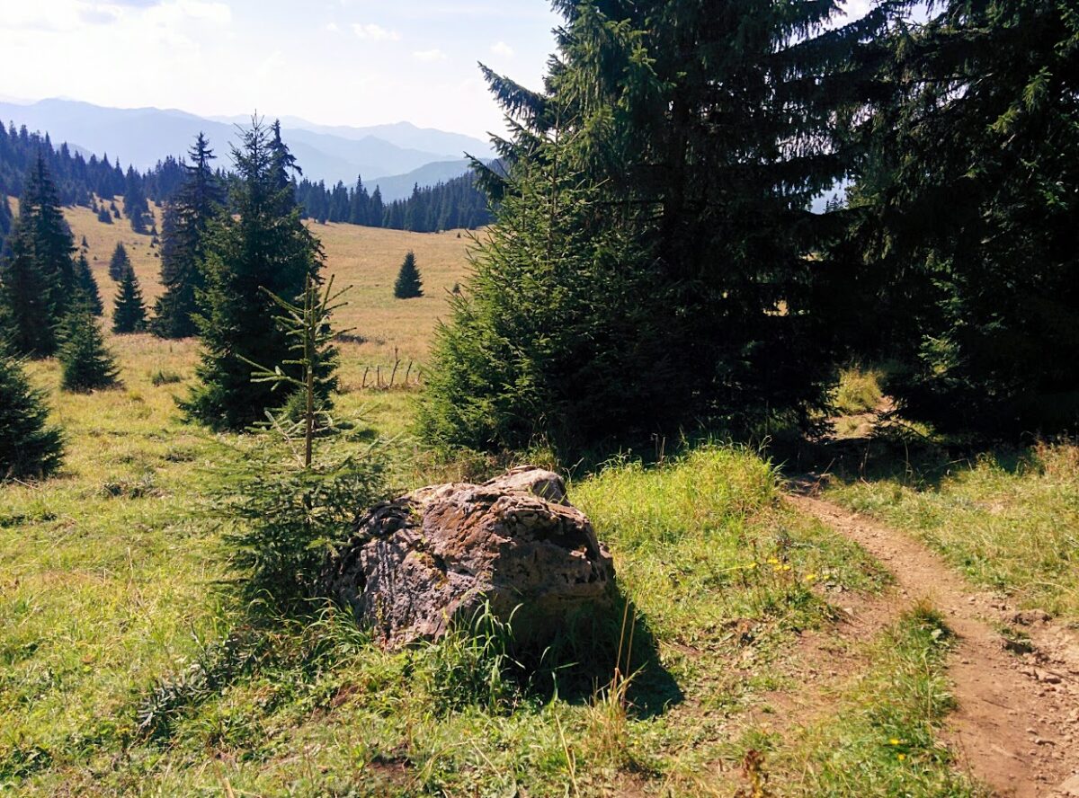 Veľký Choč from Valaská Dubová
